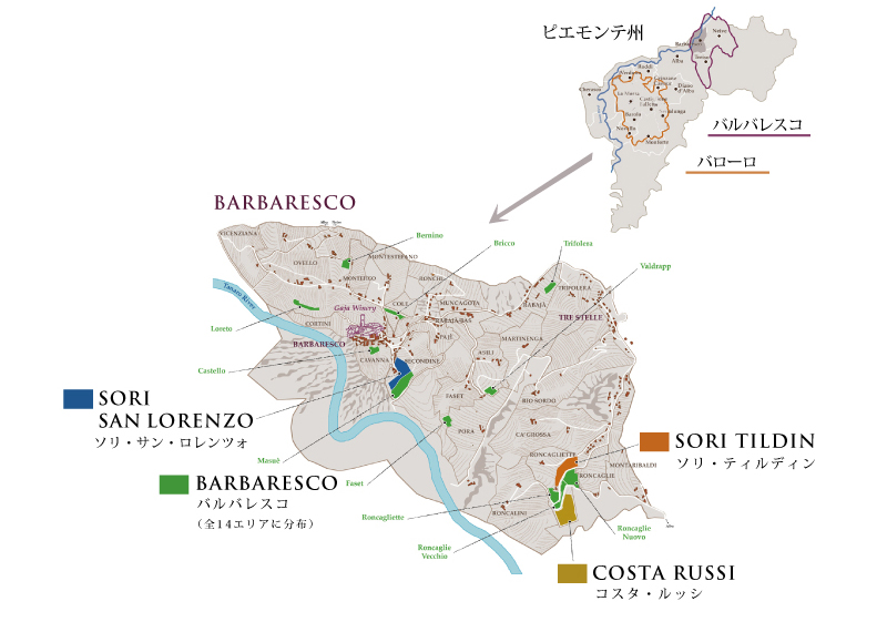 コルトン1979 Barbaresco, Gaja イタリア 赤ワイン バルバレスコ ガヤ 1979 ピエモンテ