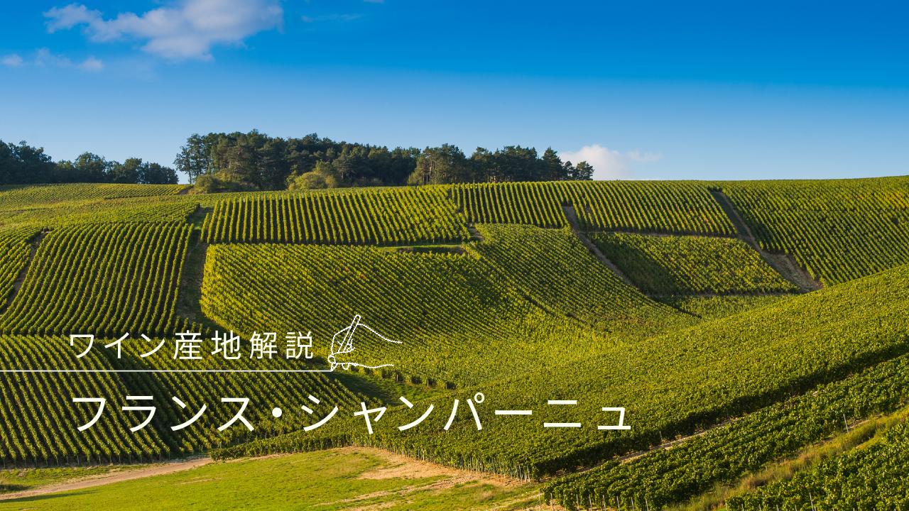 シャンパーニュ