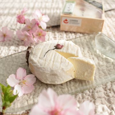 季節限定チーズ さくら 3月6日（金）出荷分