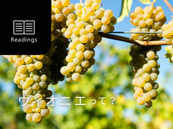 【ブドウ品種を知ろう】ヴィオニエとは？