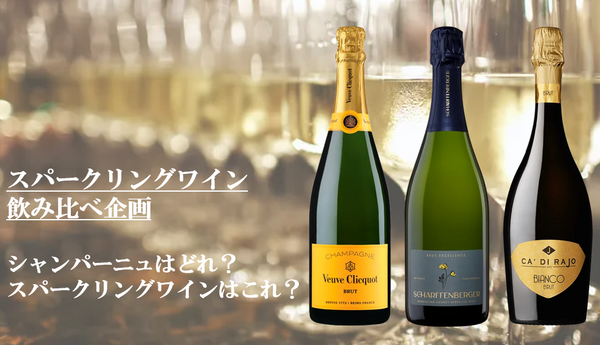 【6月5日（金）～無くなり次第終了】シャンパーニュはどれ？スパークリングワインはこれ？泡の比較テイスティング！