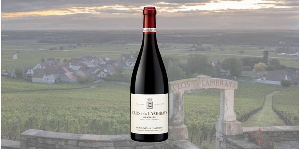 5月1日(金)～コート・ド・ニュイの宝石　『クロ・デ・ランブレイ』 グラン・クリュを愉しむ