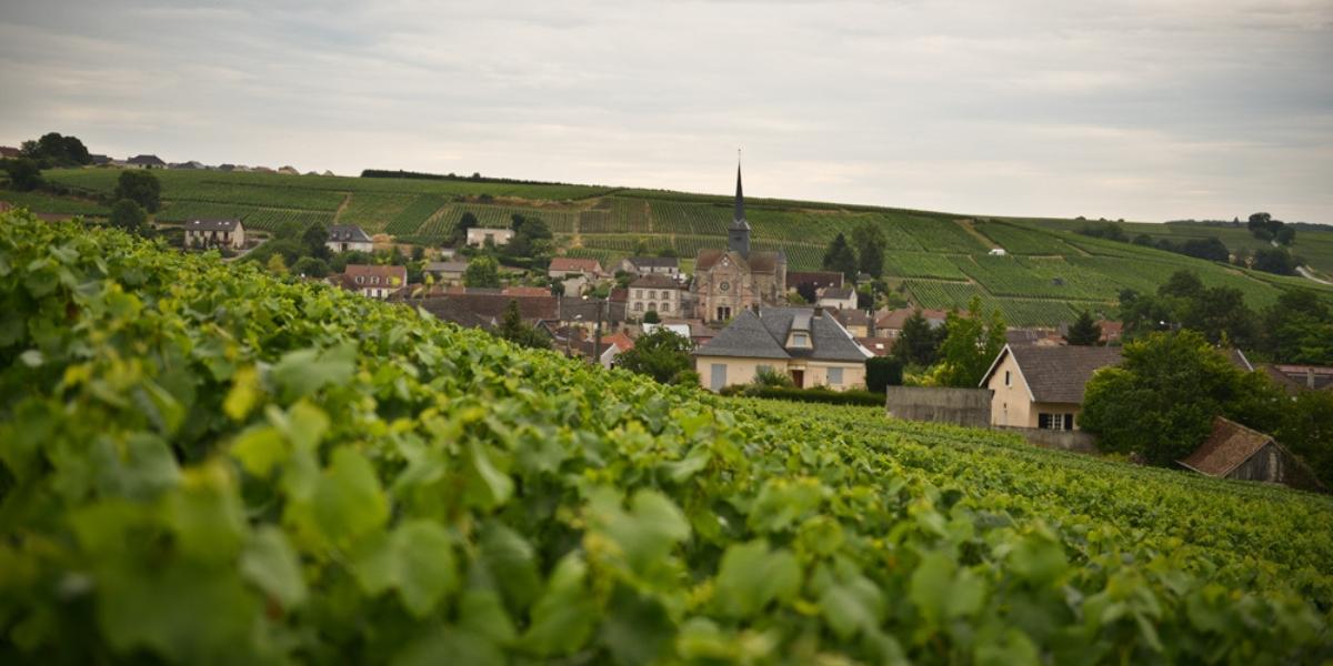 グロンニェ / GRONGNET