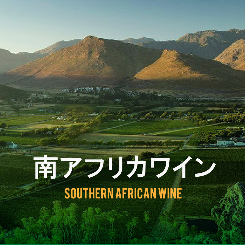 南アフリカワイン - 急速な発展を遂げる注目産地