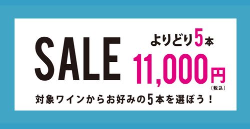 ブログメイン画像