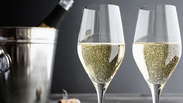 2019年 ロデレール・エステート2種