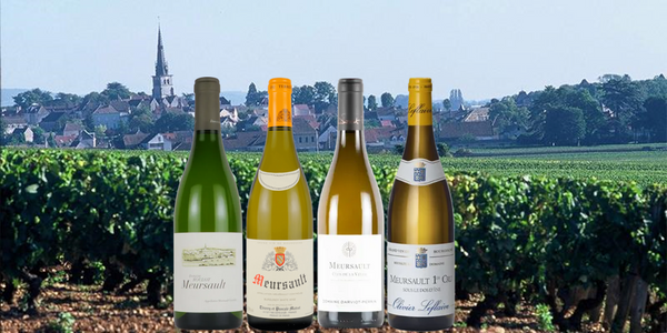 ムルソー ～ 高い質の村名ワインと圧倒的な人気を誇るプルミエ・クリュ～