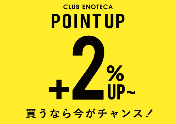 メインブログ画像