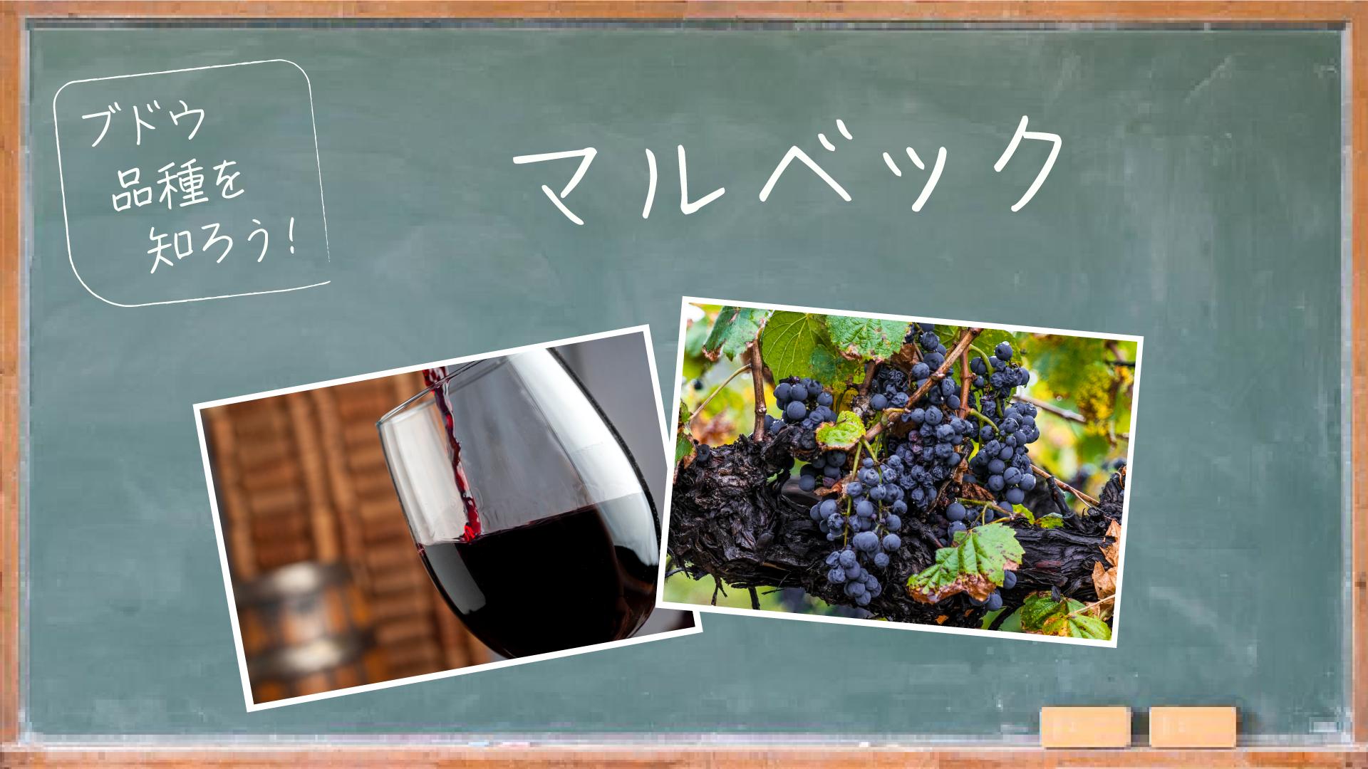 ブドウ品種を知ろう！マルベック
