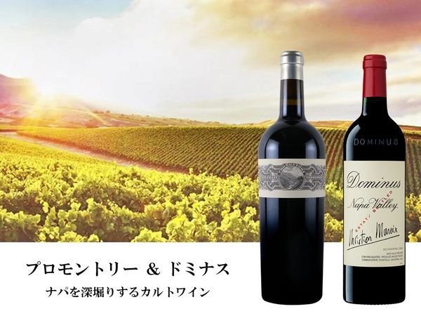 オーパスだけじゃない！ナパ・ヴァレーの更なる深みへ誘う2グラス