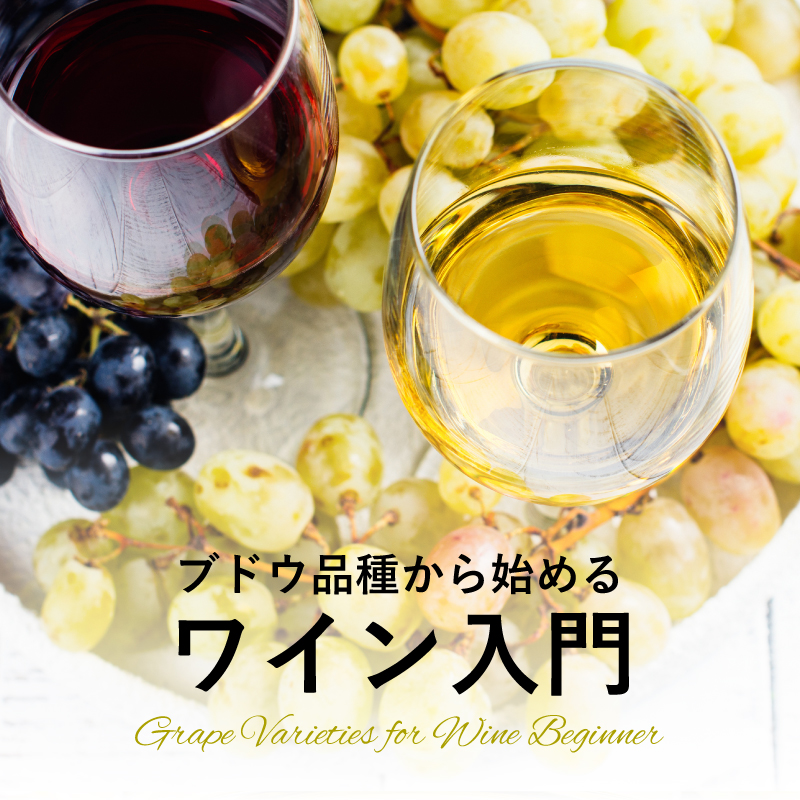 ブドウ品種から始めるワイン入門 - 代表的9品種を解説！