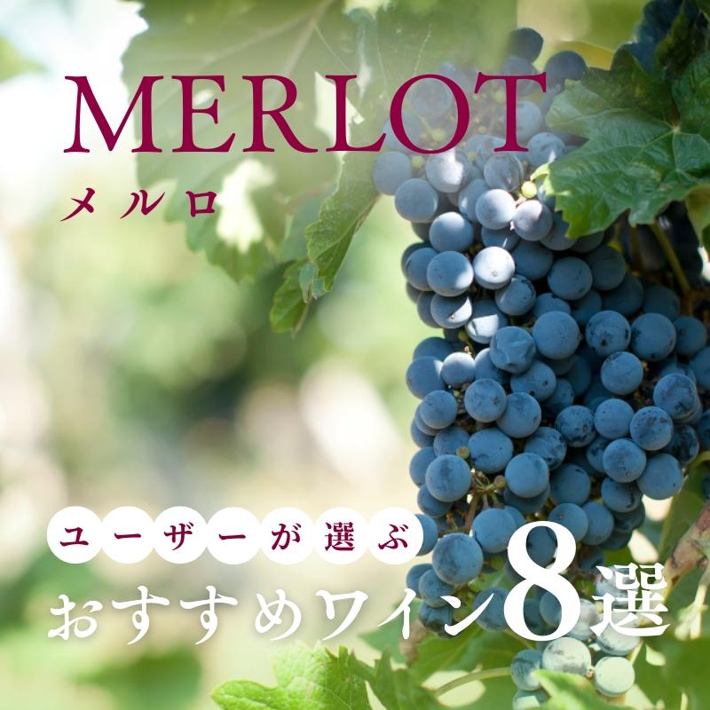 【2025年】おすすめメルロ8選【140銘柄から厳選】