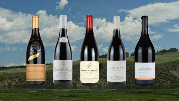 ゴールデンウィーク特別企画　ブルゴーニュのテロワールを感じる5種テイスティング