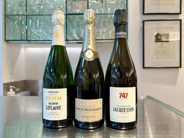 テロワールの個性が光るシャンパーニュ×ブルゴーニュグラス