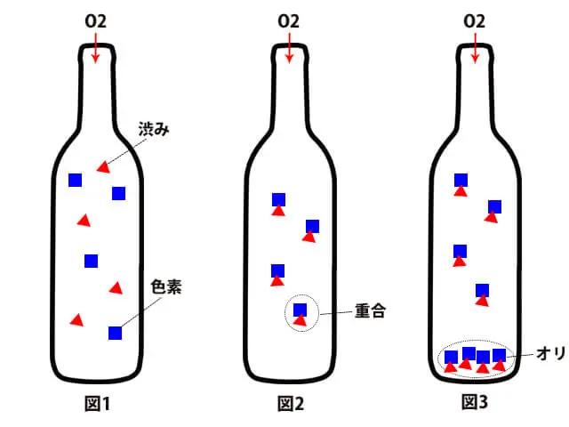 オリができる仕組み