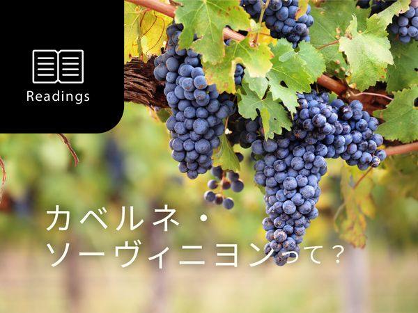 【ブドウ品種を知ろう】カベルネ・ソーヴィニヨンとは？