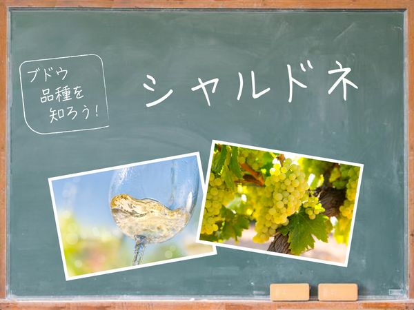 【ブドウ品種を知ろう】シャルドネとは？