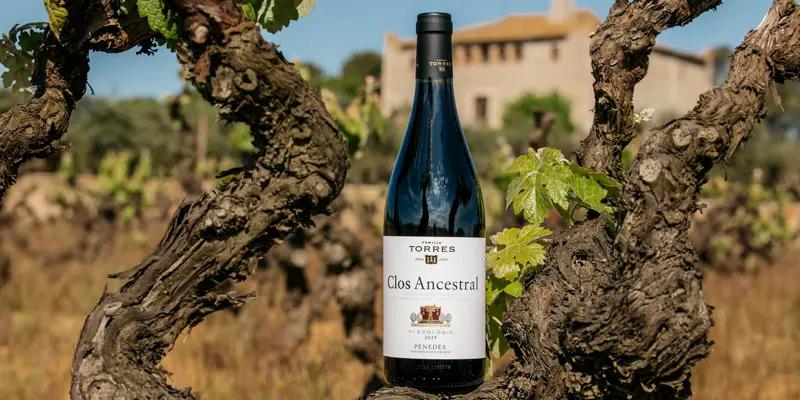 スペインの古来品種モネウをブレンドして仕立てた「クロ・アンセストラル」