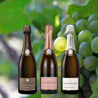 ルイ・ロデレール ヴィンテージ飲み比べ3本セット LV12-1 [750ml x 3]
