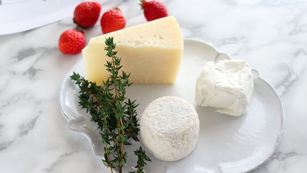 春が旬のチーズを使ったワインに合うおつまみレシピ