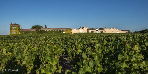 シャトー・リューセック / CH. RIEUSSEC