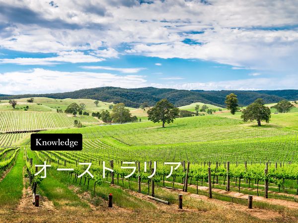 ワイン産地を知ろう！オーストラリア