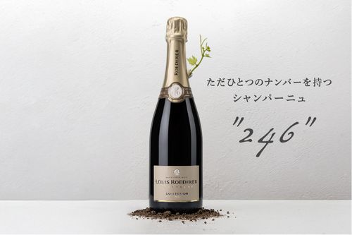 ブログメイン画像