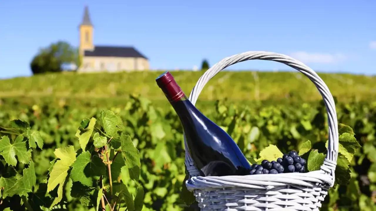 ブログメイン画像