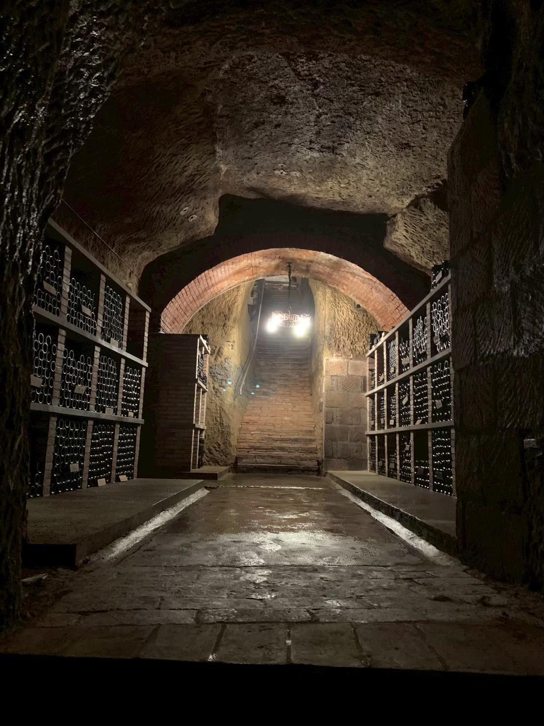 ブログメイン画像