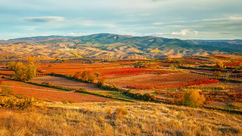 ブログメイン画像