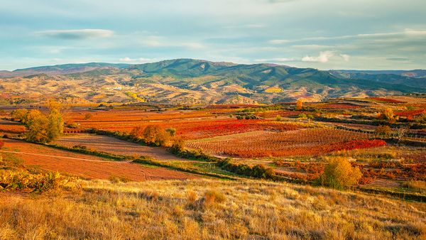 【フェス】世界を旅するワインフェス ～スペイン・ドイツ編～