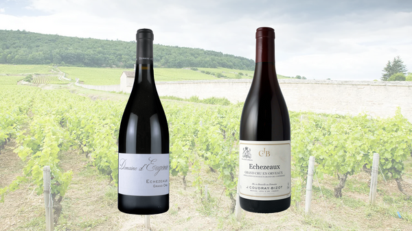 5月1日(金)～特級畑エシェゾーを愉しむグラスセット