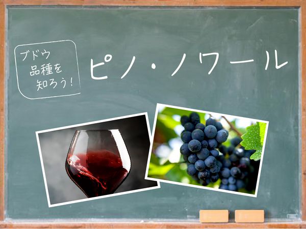 【ブドウ品種を知ろう】ピノ・ノワールとは？