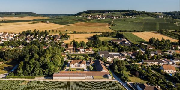 R. ルノーダン / R. RENAUDIN