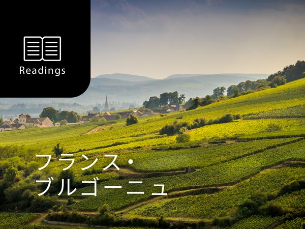 ワイン産地を知ろう！ブルゴーニュ