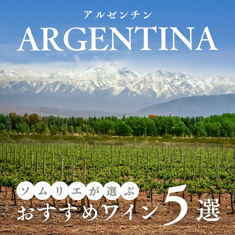 【2025年】おすすめアルゼンチンワイン5選【ソムリエ厳選】
