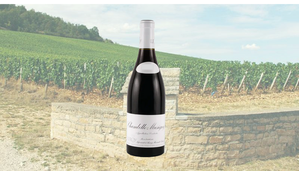 5月1日(金)～メゾン・ルロワのシャンボール・ミュジニーを愉しむ