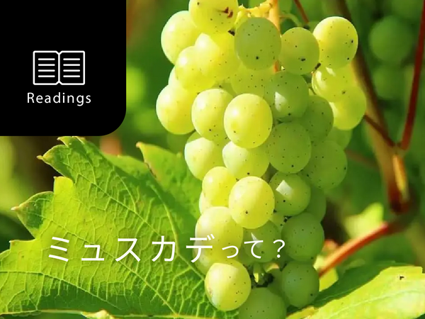 【ブドウ品種を知ろう】ミュスカデとは？