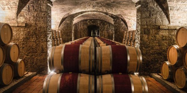テヌータ・ティニャネロ (アンティノリ) / TENUTA TIGNANELLO (ANTINORI)