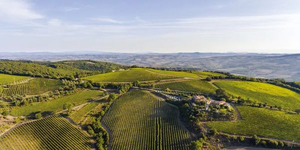 【渋谷ヒカリエ店】2020年ブルネッロ・ディ・モンタルチーノを飲み比べ