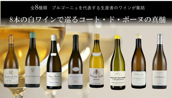 8本の白ワインで巡るコート・ド・ボーヌの真髄