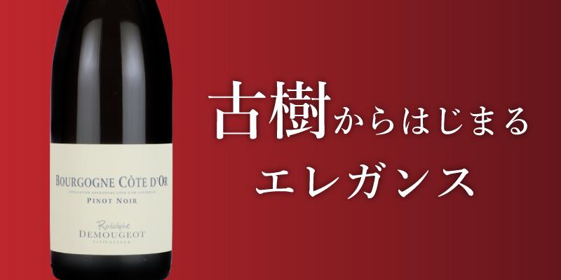 ブルゴーニュ コート・ドール ピノ・ノワール