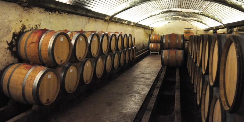 cellar