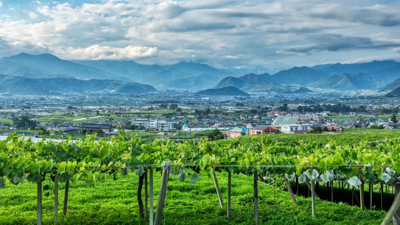 勝沼風景