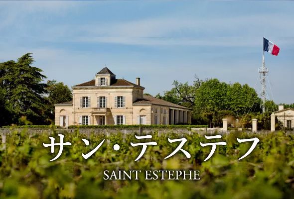 メドック最北の地が生む、堅牢かつ肉厚なワイン『サン・テステフ』