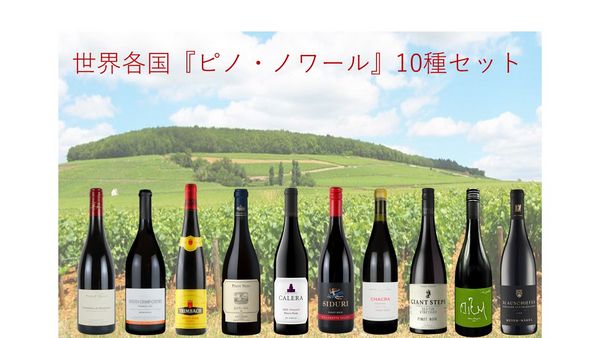 【渋谷ヒカリエ店】世界各国ピノ・ノワール10種セット