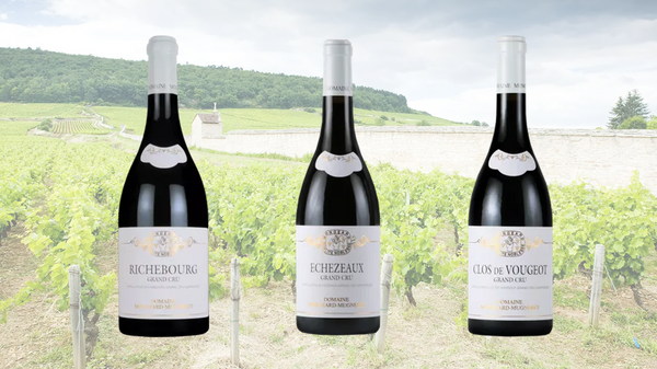 4月10日(金)～モンジャール・ミュヌレ　グラン・クリュ　３グラスセット