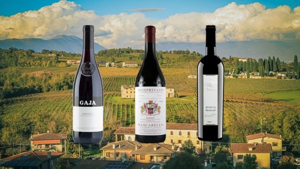 【大名古屋ビルヂング店10周年特別テイスティング】イタリア3大ワインを知る 赤ワイン３種テイスティング