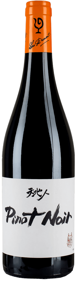 ラングドック ペイドック・ピノ・ノワール