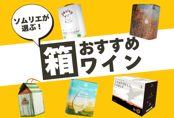 【2025年】箱ワインおすすめ5選【ソムリエ厳選】